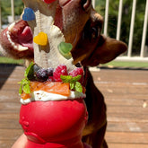 Snowman-Dog Toy-Rover Pet Products